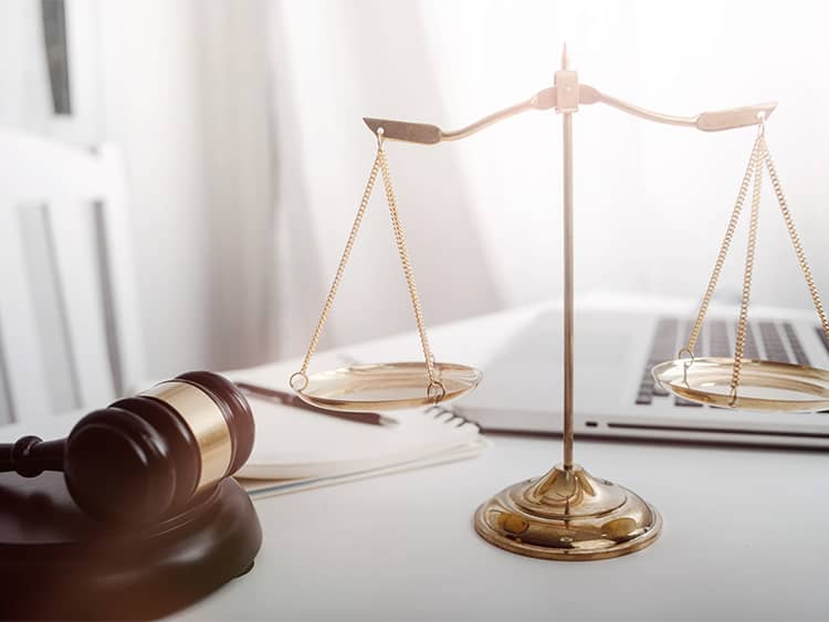 难民诉讼